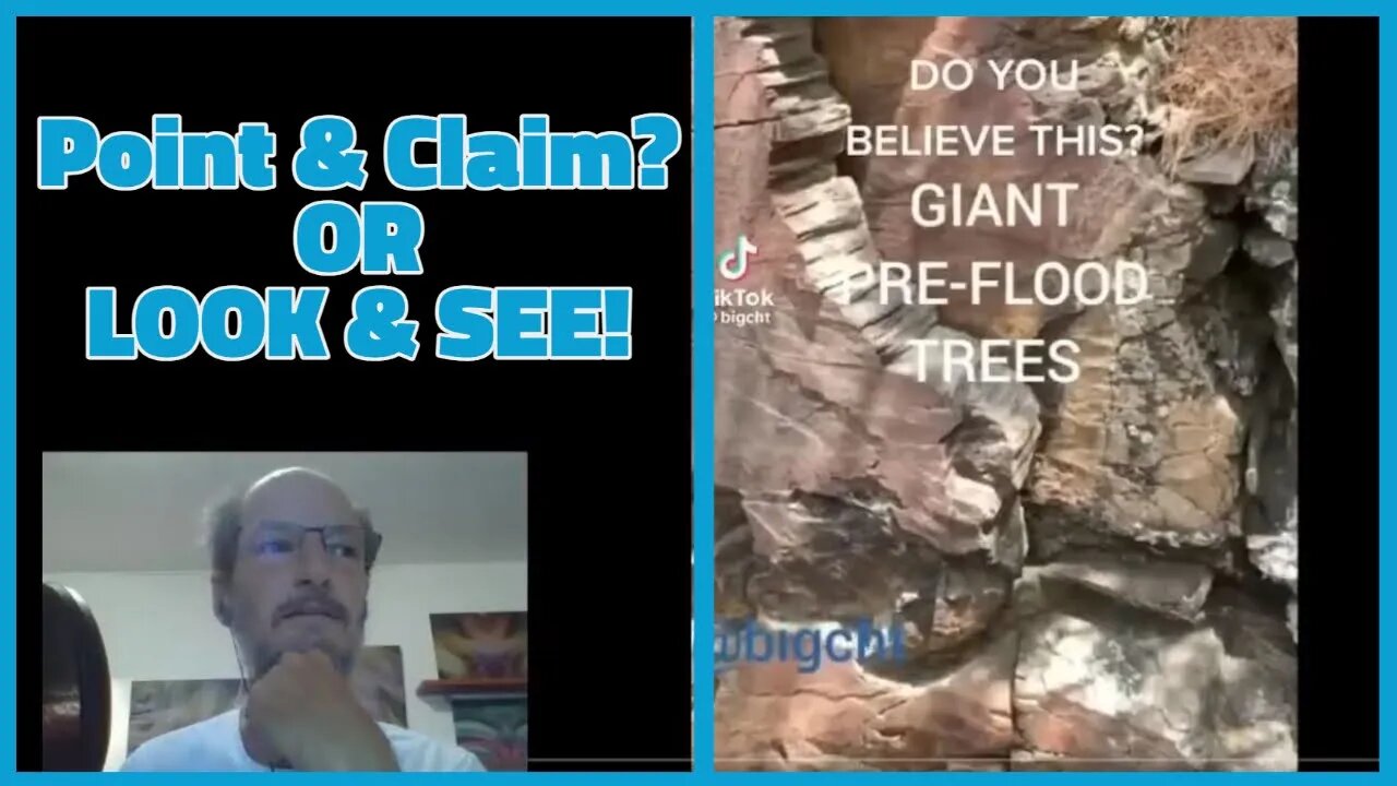 Point and Claim OR Look and SEE? What do you think?