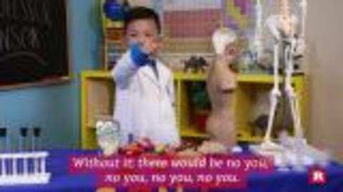 5-year-old Anson Wong's knowledge of the human brain will blow your mind | Anson's Answers