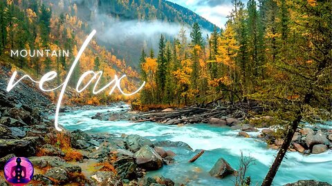 Relaxing Music - 10 Min Of Relaxing Sleep Music • Sleeping Music, Relaxing Music, Fall Asleep Fast