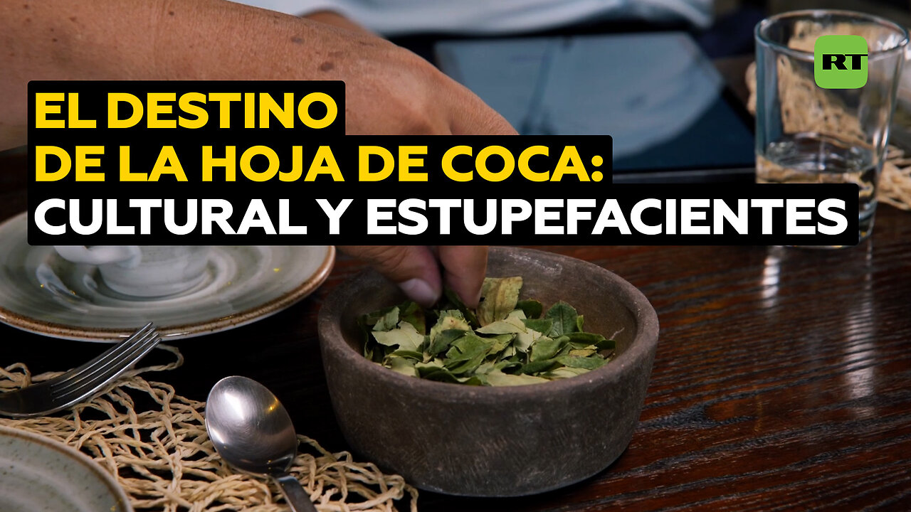La hoja de coca: su producción y sus diferentes usos