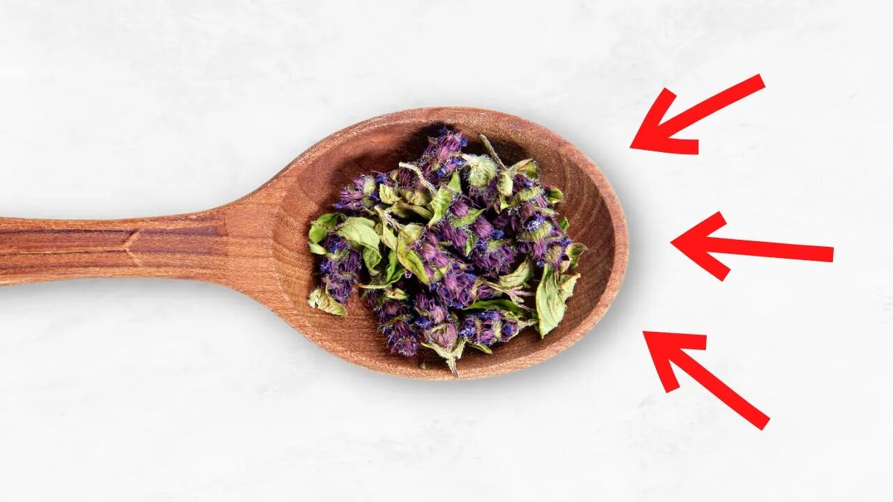 Heal-All Plant: A Tea That Promotes True Healing in the Body