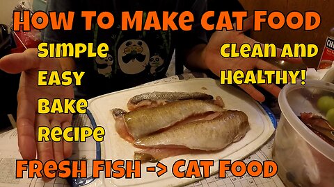 Homemade Cat Food With Fresh Fish Recipe :D!