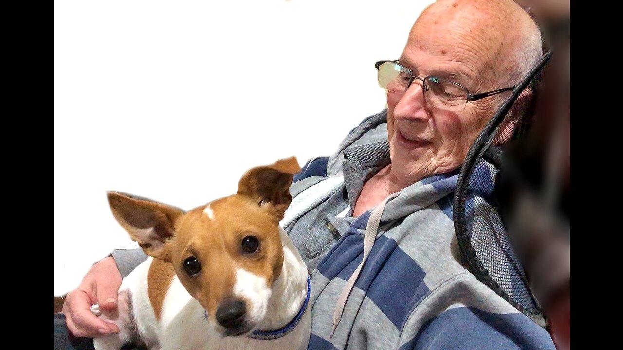 Stroppys Update - 1st of July 2023