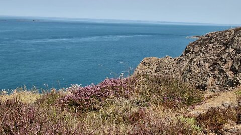 2 minutes of calm relaxation watching hillside heather blowing in the breeze with blue sea views.