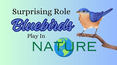 Surprising Role Bluebirds Play in Nature