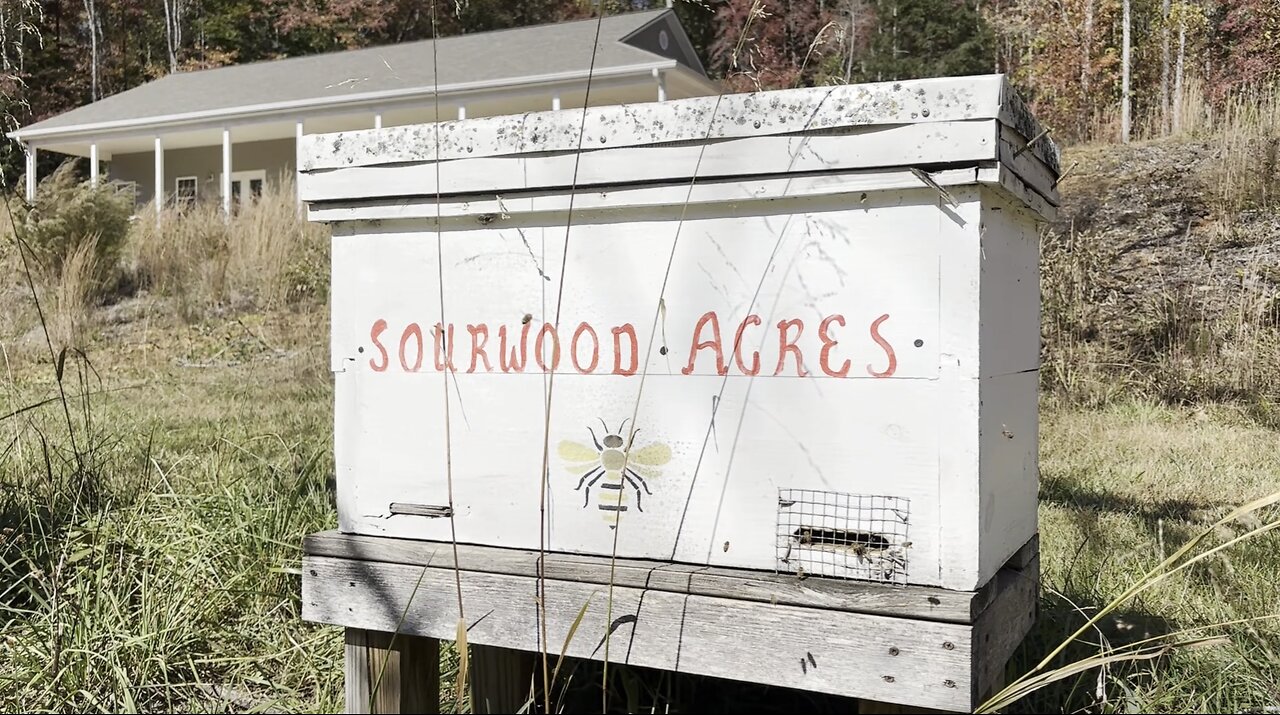 Secure Acres Natural Bees 2024 Honey Harvest β€οΈπ―π
