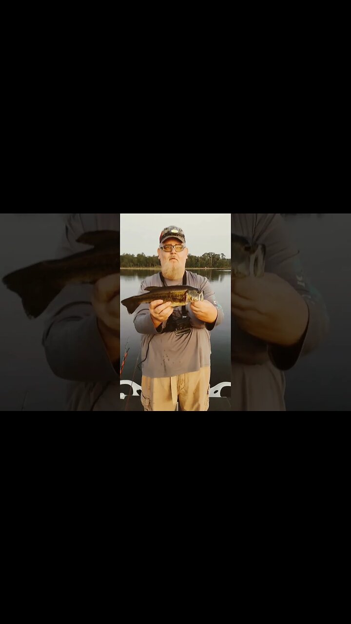 Lets Do It #fishing #bassfishing