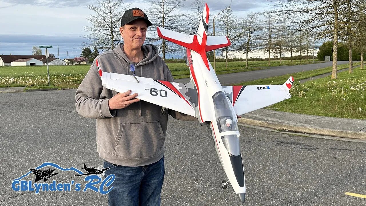 E-flite Viper 90mm EDF Jet | Tims Viper RC Jet Airshow