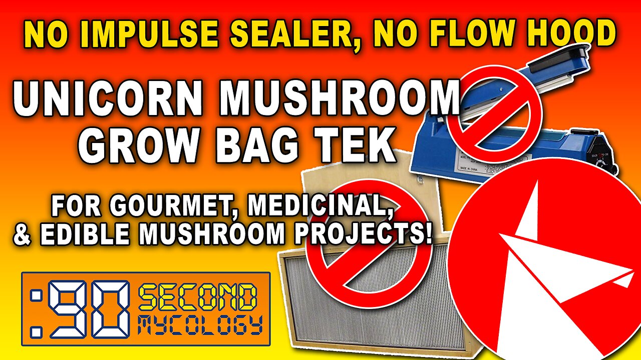 No Impulse Sealer, No Flow Hood Unicorn Bag Tek \ Growing Chestnut Mushrooms!