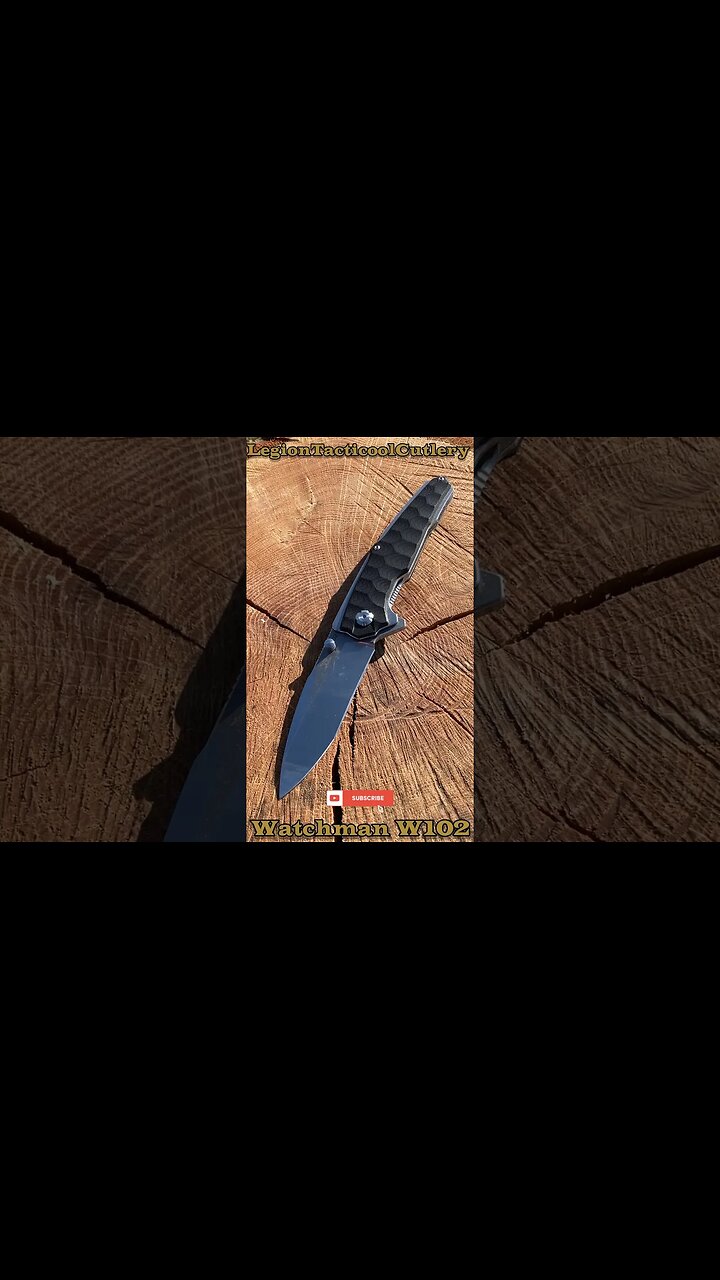 Watchman W102 in D2 Steel!