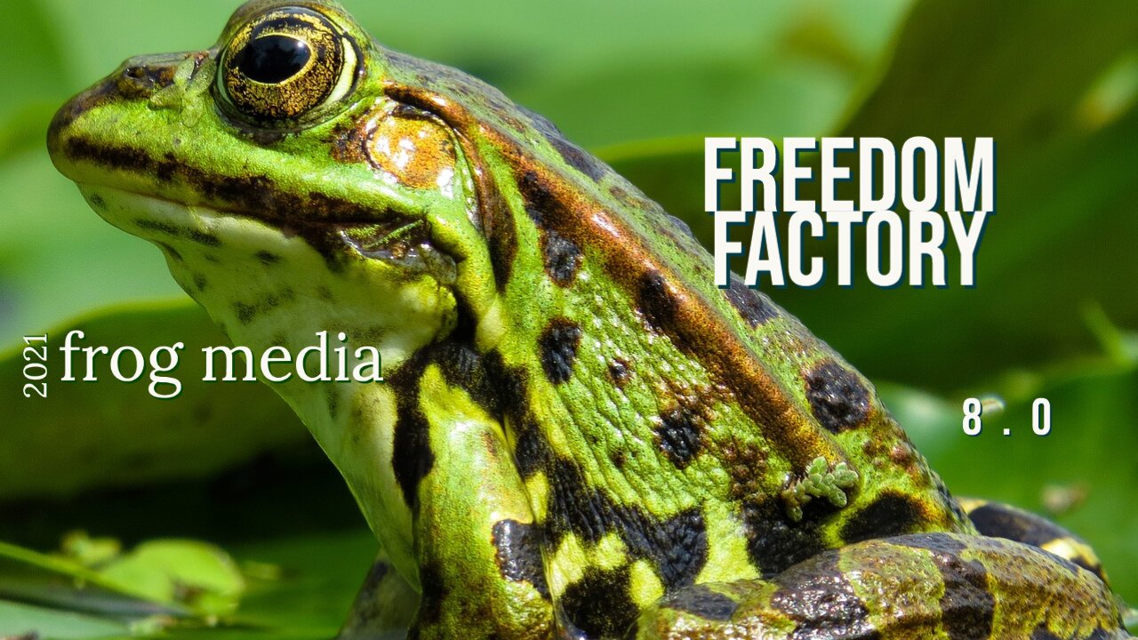 The Freedom Factory Edition 8.0