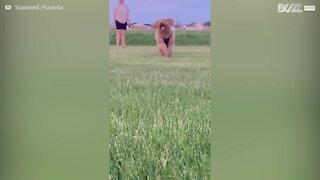 Cachorro se choca na câmera em slow-motion!