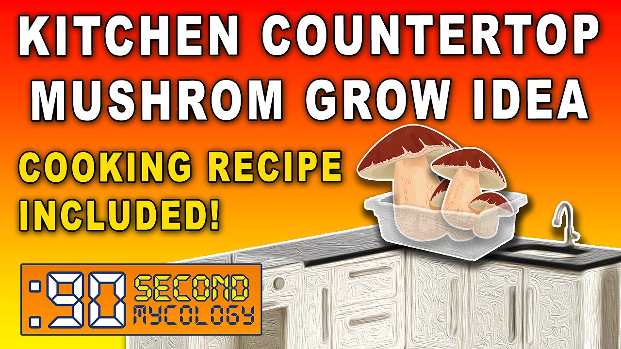 Kitchen Countertop Mushroom Grow Idea \ Cooking Recipe Included! \ 90-Second Rice