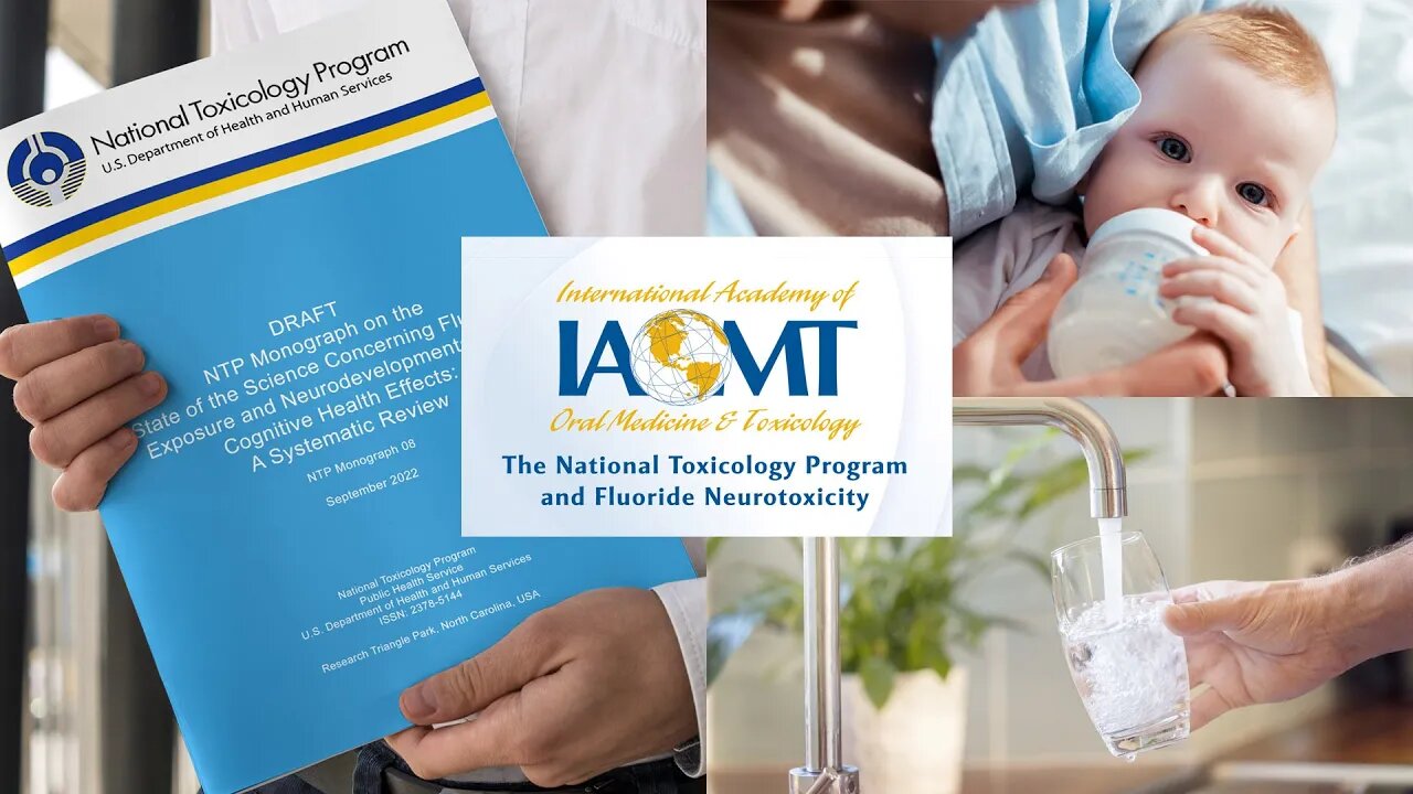 The National Toxicology Program and Fluoride Neurotoxicity.