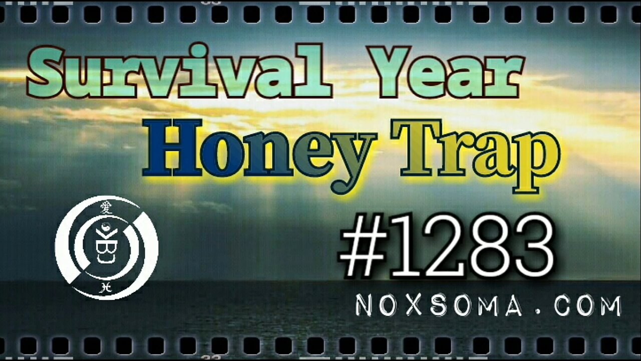 Hindsight Retrospective 2020: Honey Trap [10 December]