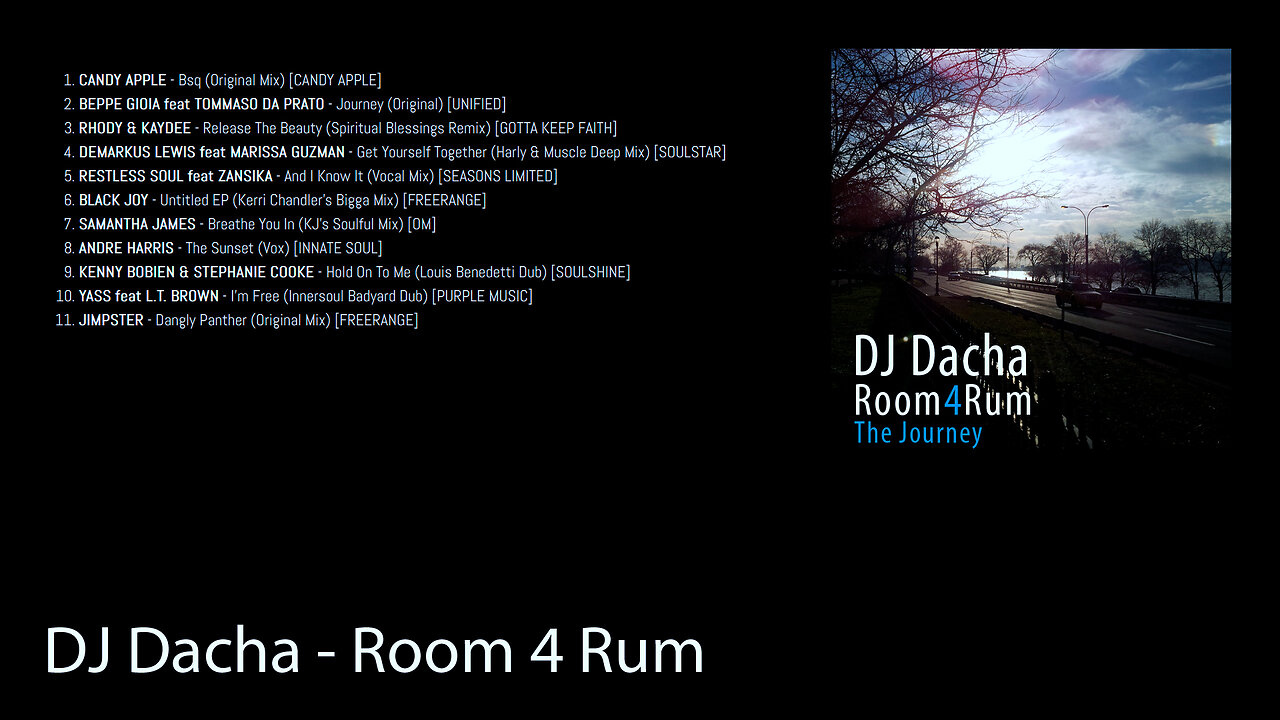 DJ Dacha - Room 4 Rum (House Music DJ Mix)