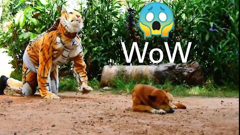 Wow Fake Tiger Prank Dog Run Watch So Very Funny 2021