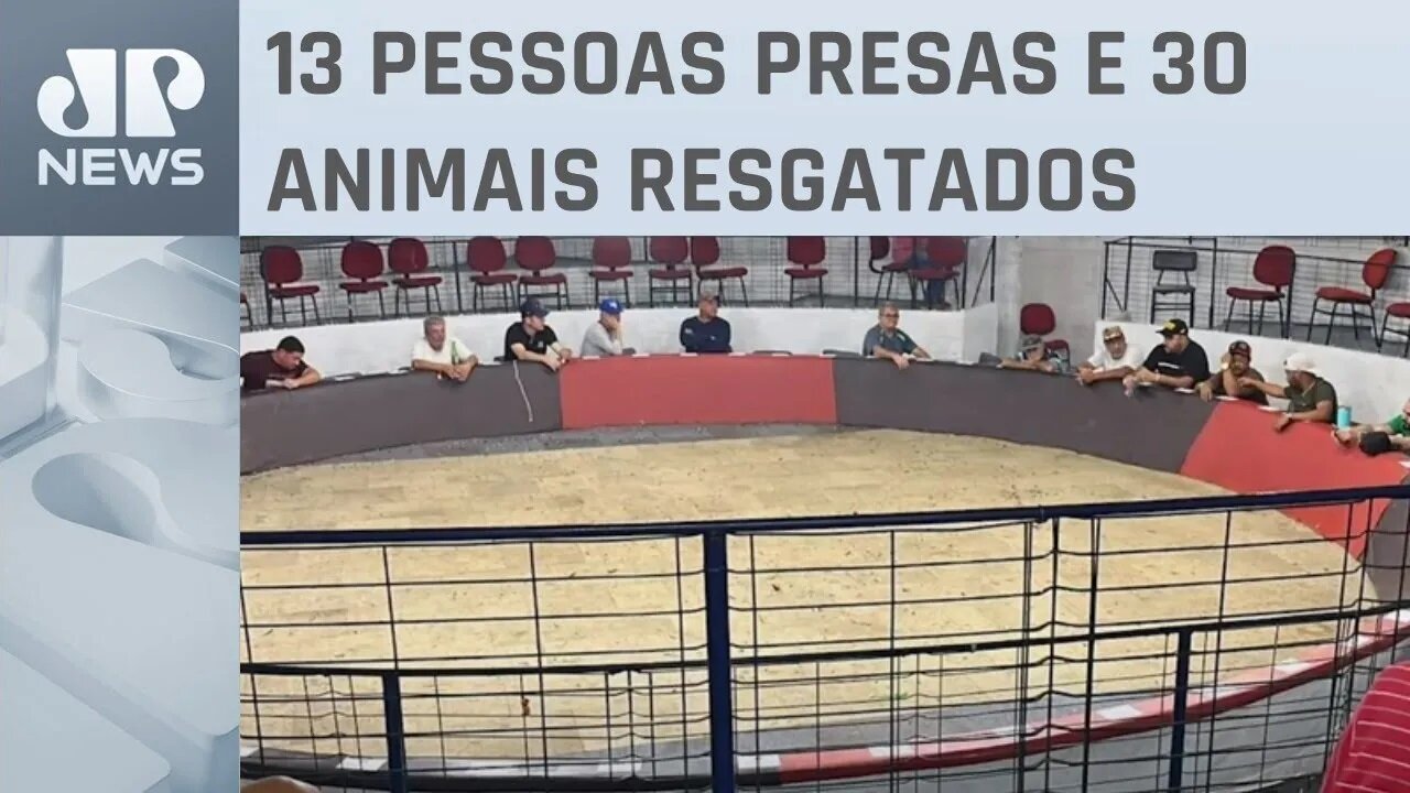 Polícia do Rio de Janeiro fecha rinha de galos em Duque de Caxias