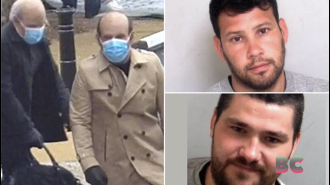 Brothers jailed after dressing up as old men in extremely life-like masks to rob jewellery shop