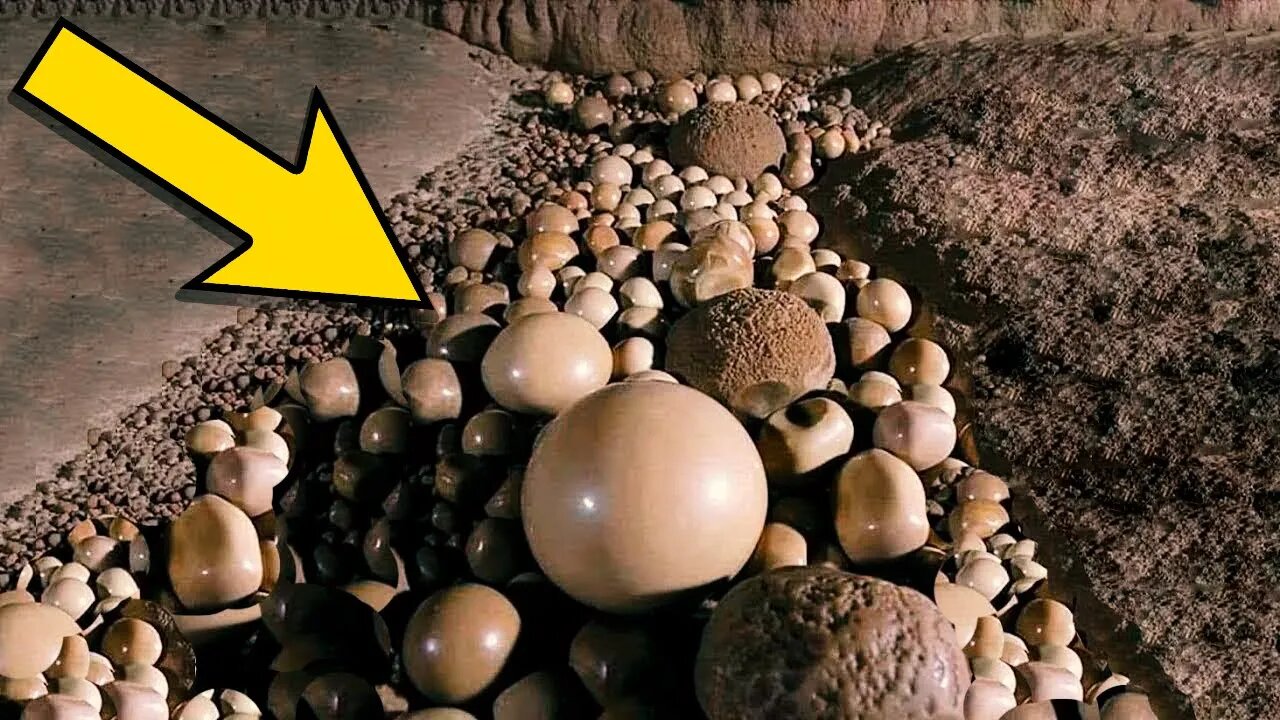 Découvertes mystérieuses que personne naurait dû trouver.