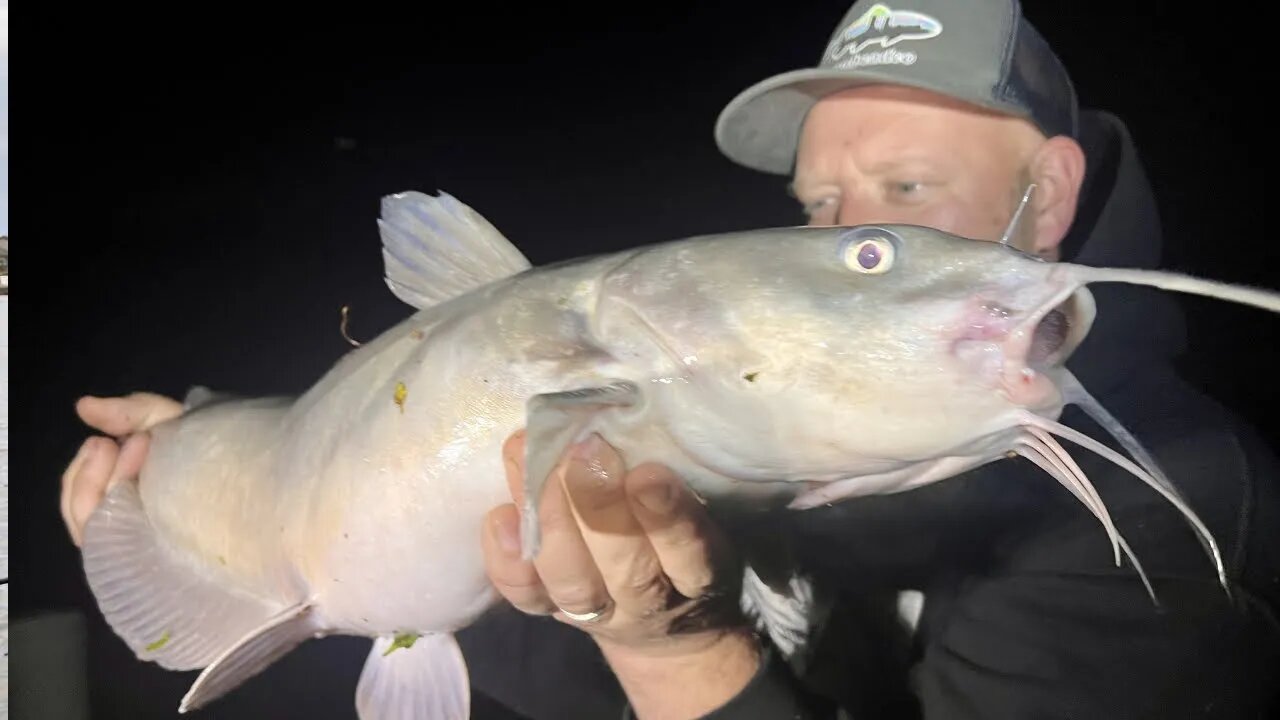 Bank Fishing The St. Marrys River For Catfish & Epic Bonus Fish Bank Fishing In The Upper Peninsula
