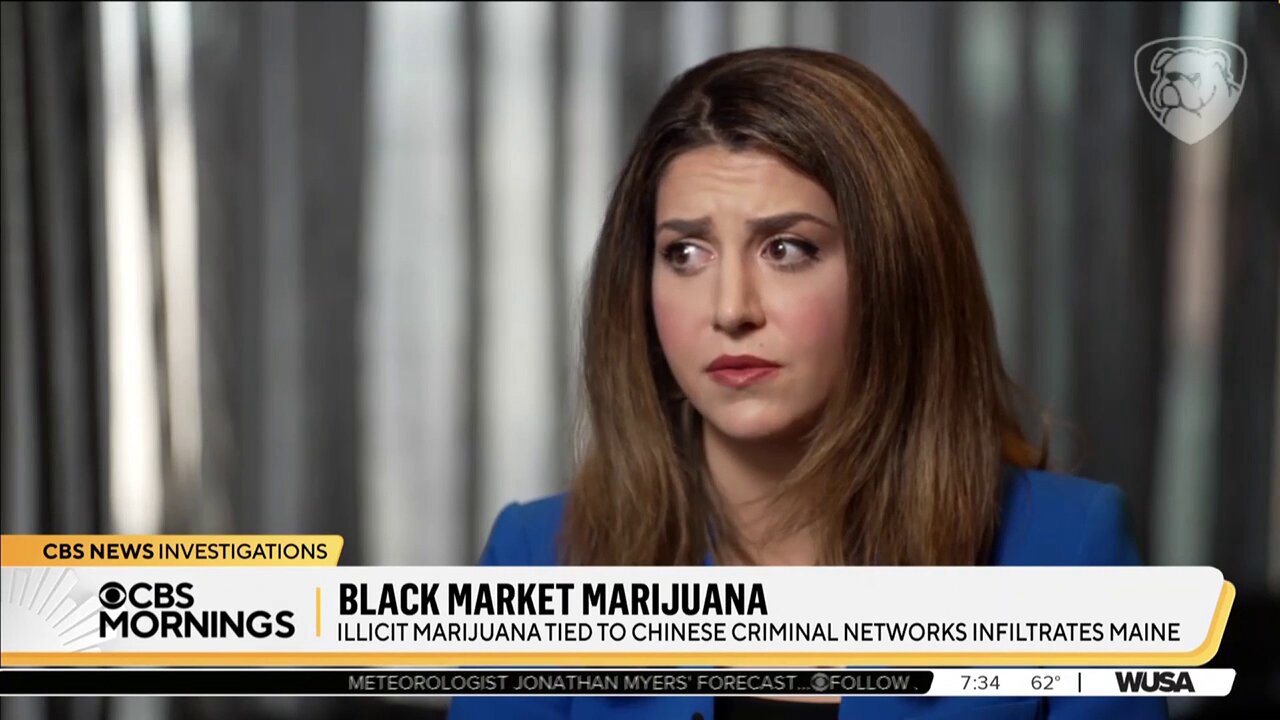 CBS Admits Legalizing Weed Doesnt Stop Black Market Sales, Boosts Them