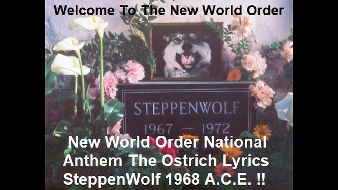 New World Order National Anthem The Ostrich Lyrics By Steppenwolf 1968 A.C.E. !