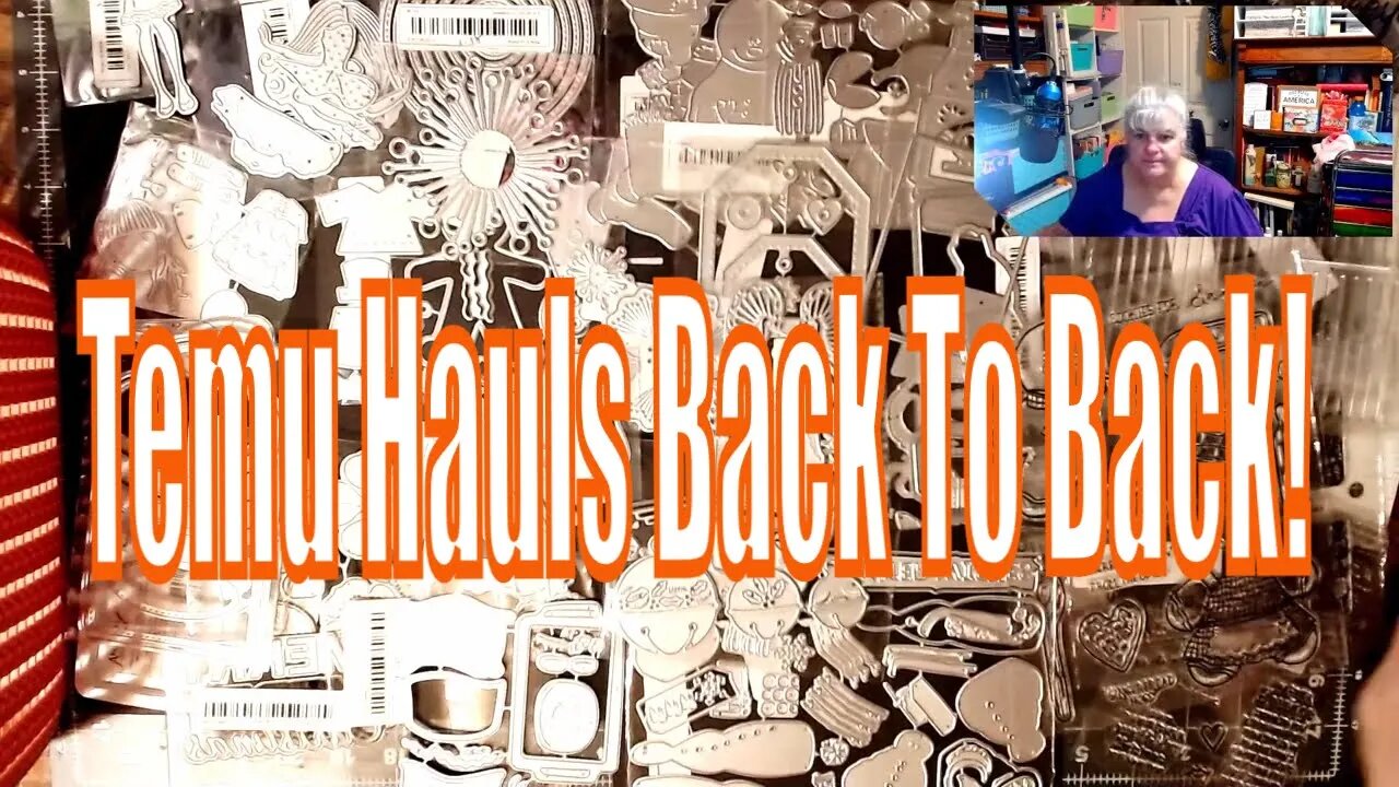 Temu Hauls Back To Back