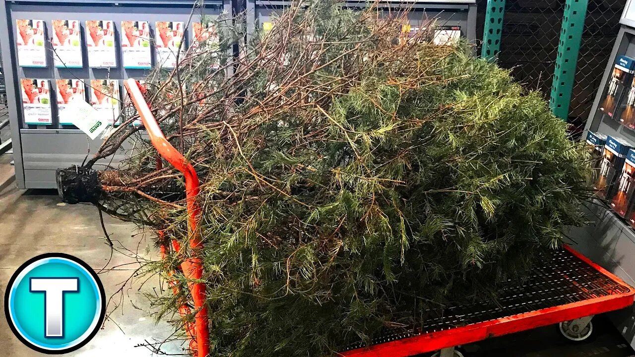 10 Costco Returns You Wont Believe
