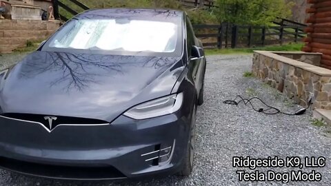 Tesla Model X "Dog Mode" Review. Ridgeside K9 Review a Tesla Model X For Dog Transportation