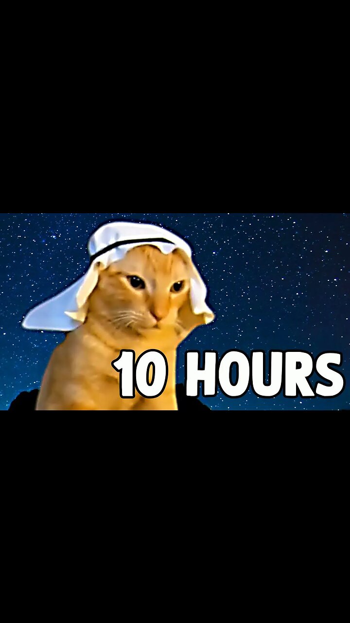 Arab Cat Meme [10 HOURS]