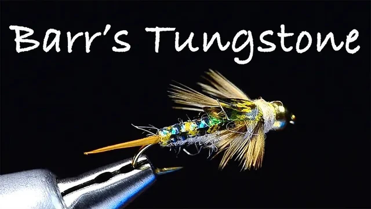Barrs Tungstone - Realistic Stonefly Nymph Tied by Charlie Craven