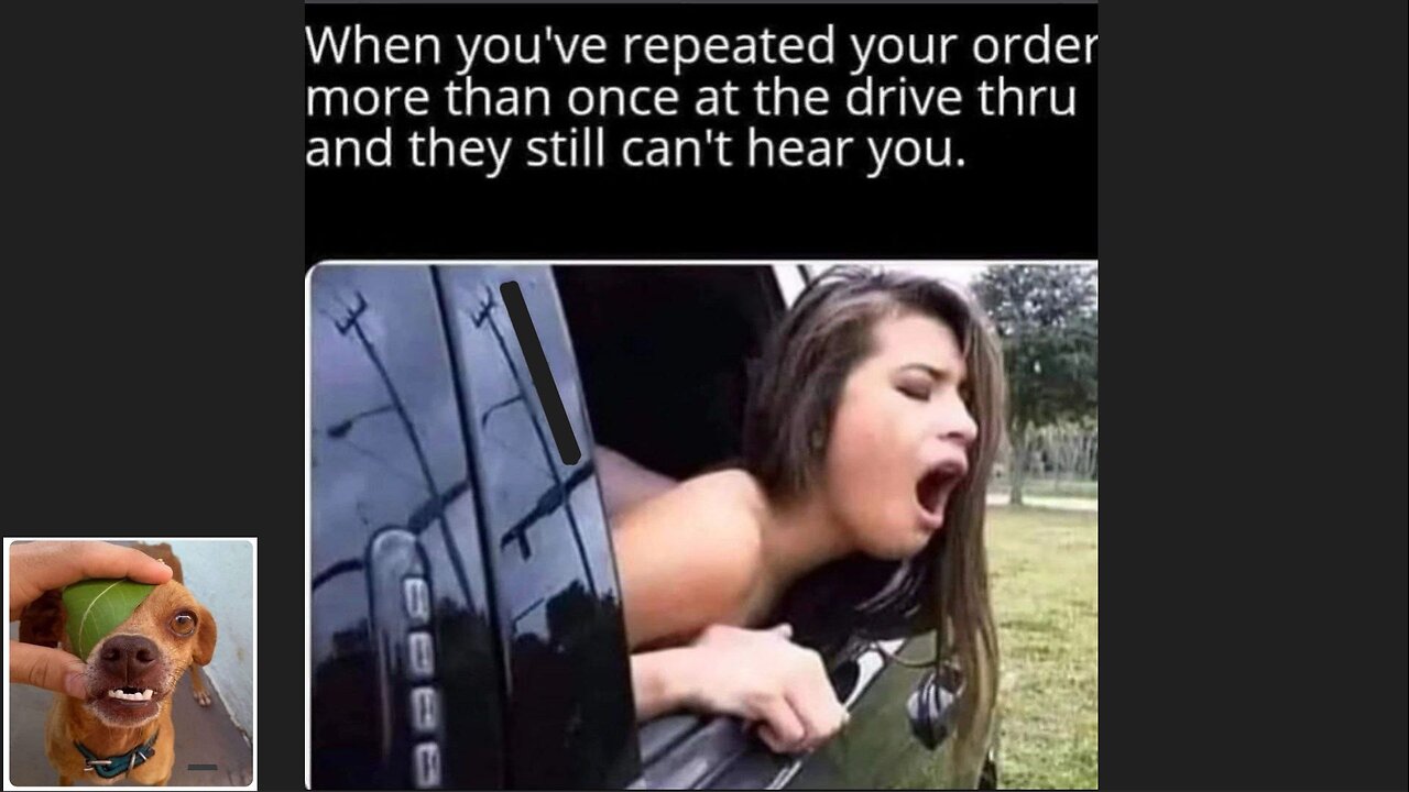 Memes That Will 99.849% Make You Laugh. (e74)