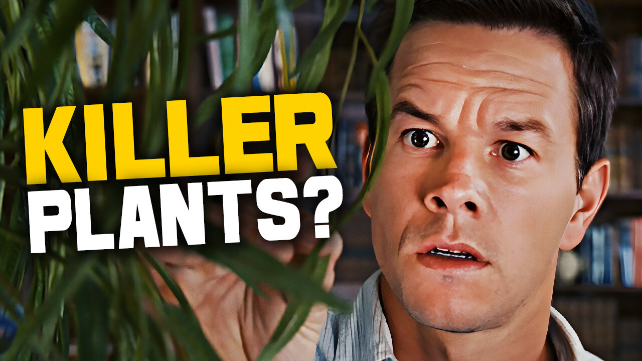 The Happening: M. Night Shyamalans Worst Film?
