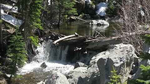 60 Seconds in Nature: Beaver Pond at 10,200ft
