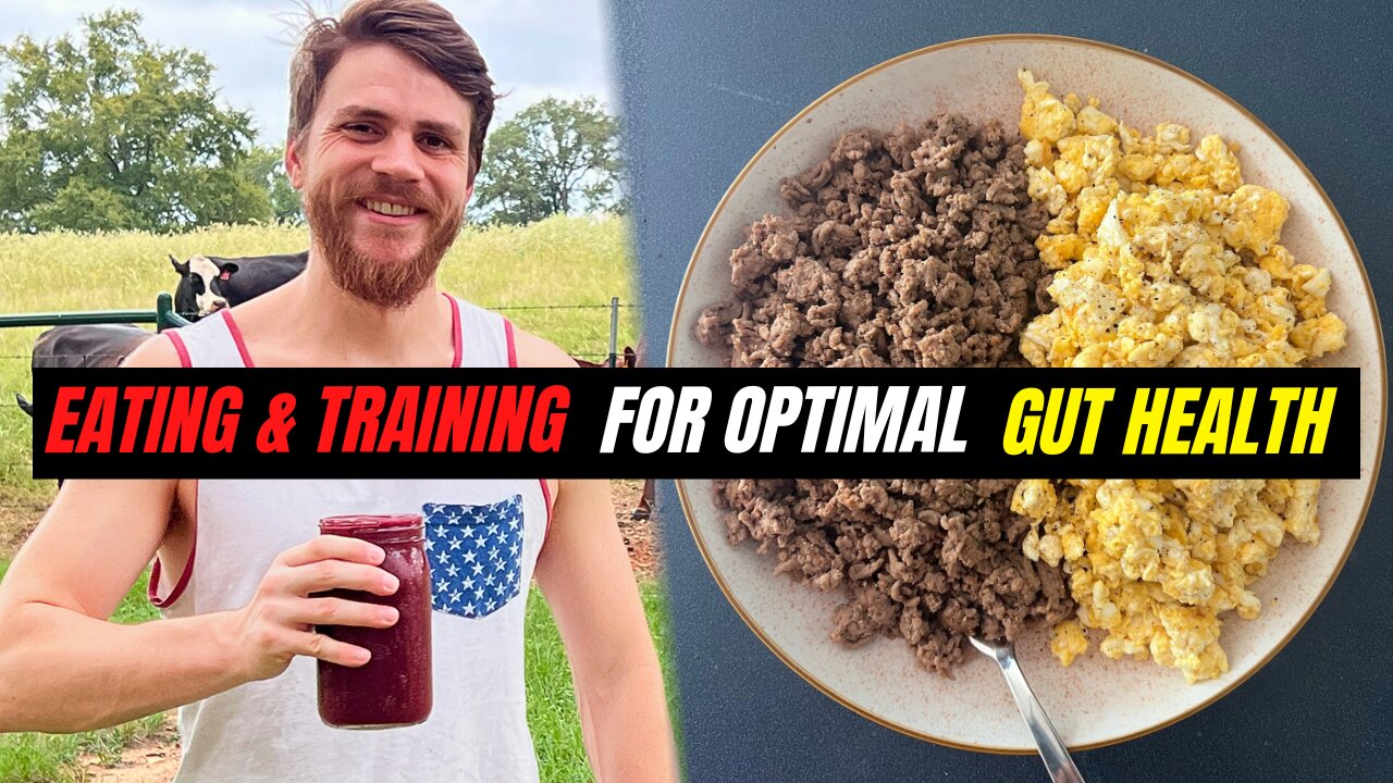 Gut Health Rules | Eating, Training, Grocery Haul, L. Reuteri Yogurt | Leaky Gut, IBD, UC & Crohns