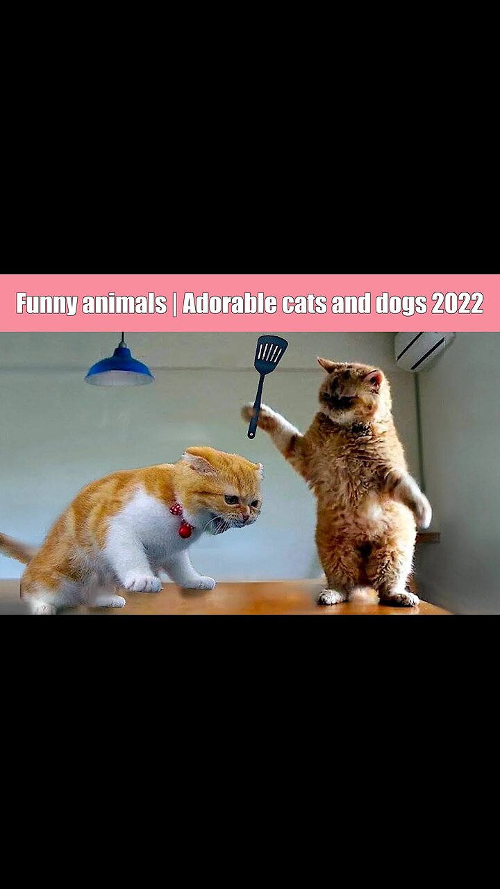 Most funny videos 😜😜. instagram reels. comedy memes! #memes