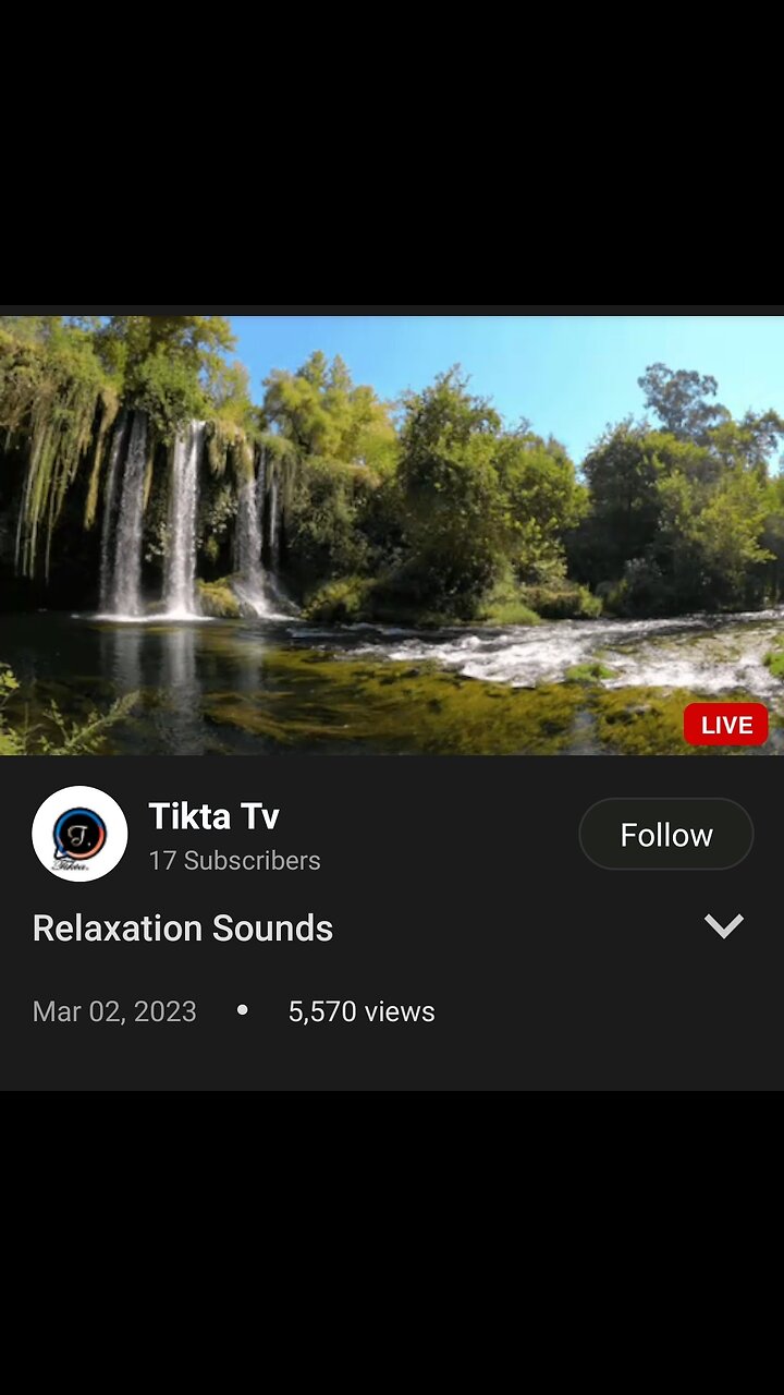 Tikta Knox
