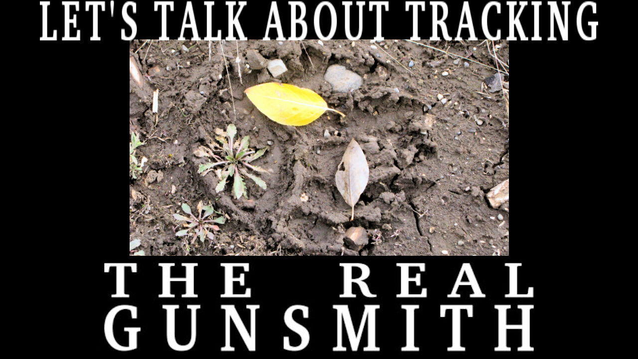 Lets Talk Tracking
