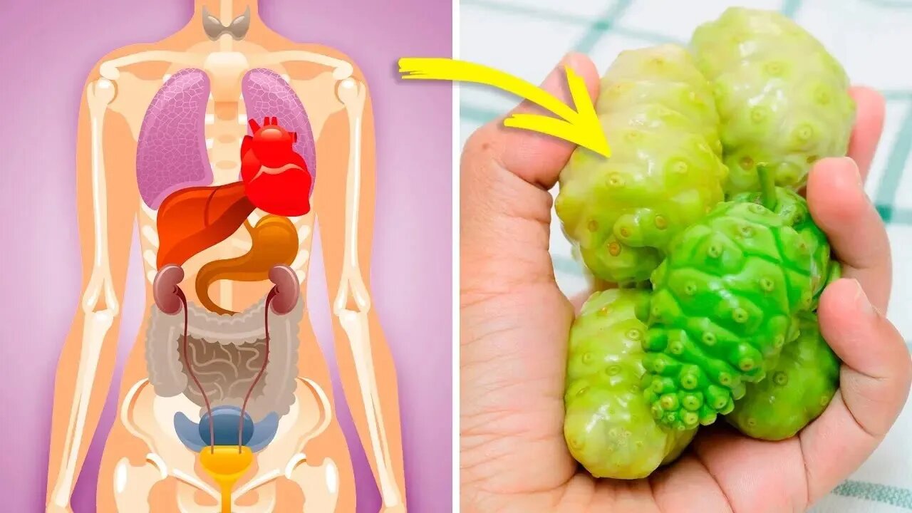 PARA QUE SERVE O SUCO DE NONI CONHEÇA OS BENEFÍCIOS DA “FRUTA PROIBIDA” NO BRASIL
