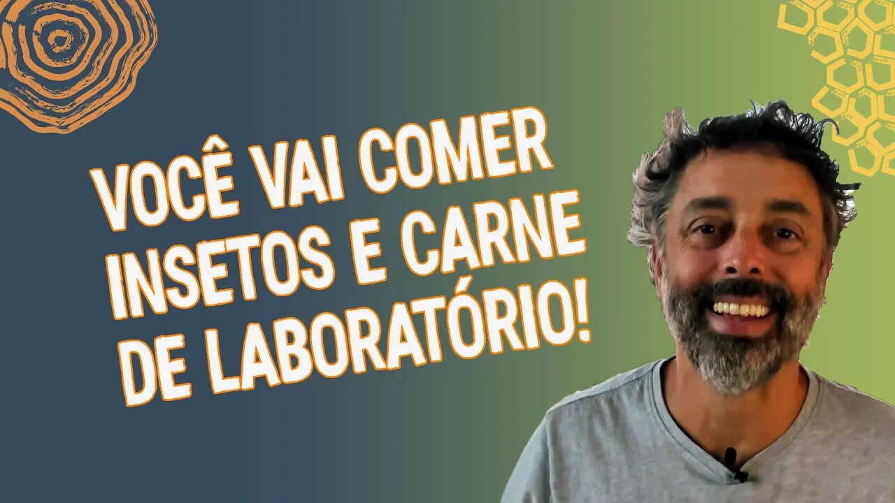 A soberania alimentar e a guerra contra a carne