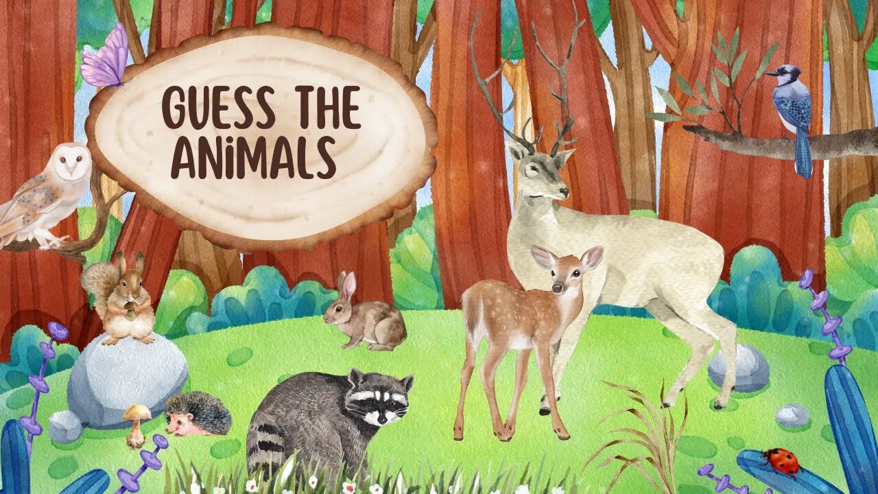 Guess The animal colourful illustration - How Well Do You Know Your Animals?