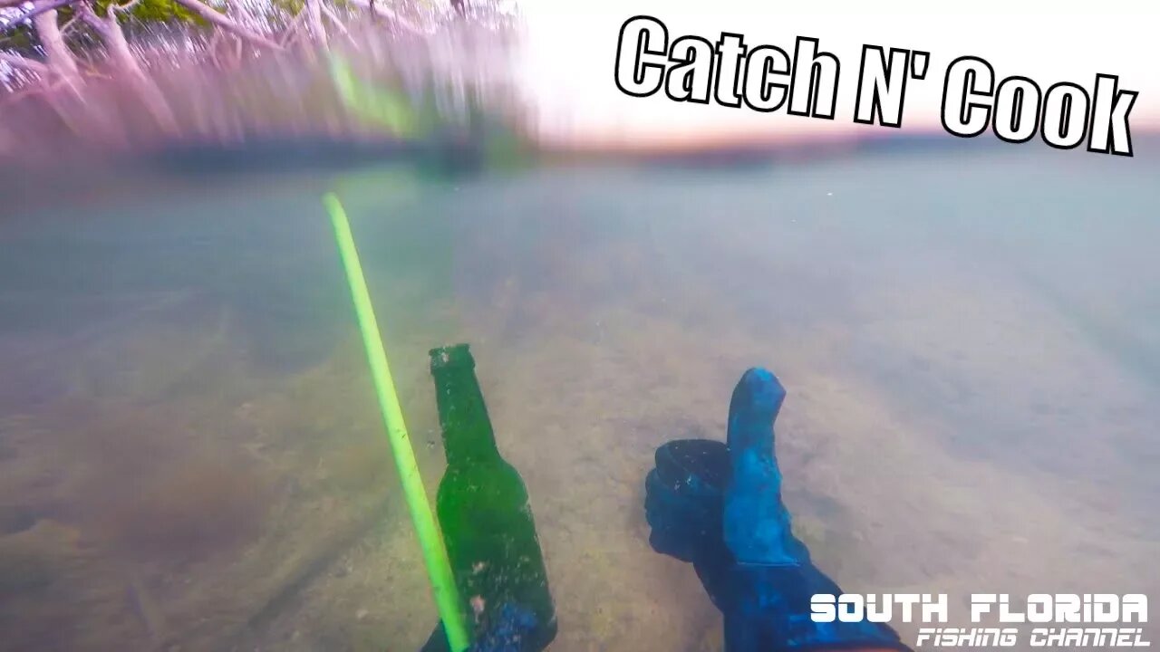 Fishing the Mangroves for Snapper and Lobster | catch n cook