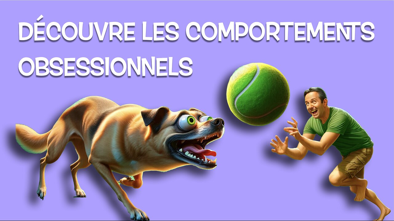 Stratégies de Réduction de lObsession