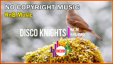 Disco Knights - Quincas Moreira: RnB and Soul Music | Funky Music