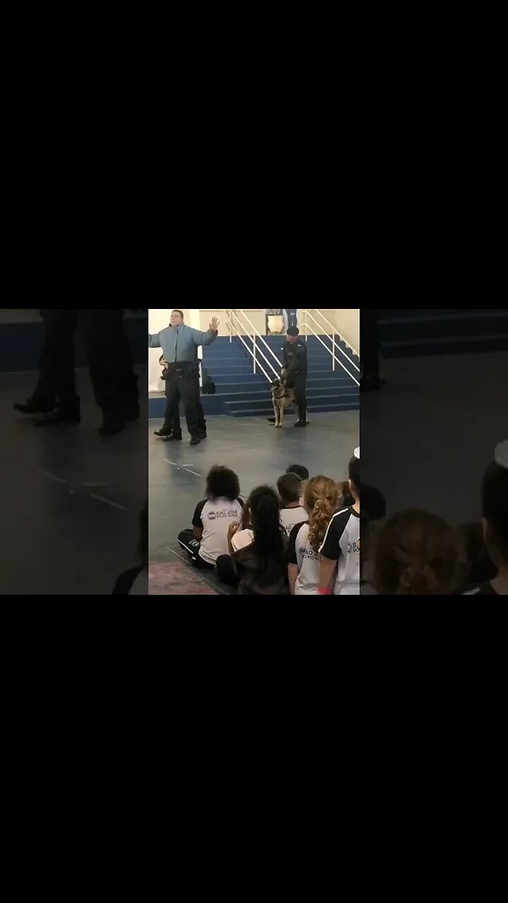 Cão Policial K9.Sccoty - Apresentação Escolar da GCM Canil Vargem Grande do Sul #k9 #cachorro