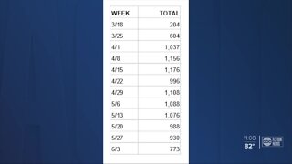 Hospitalizations in Florida amid COVID-19