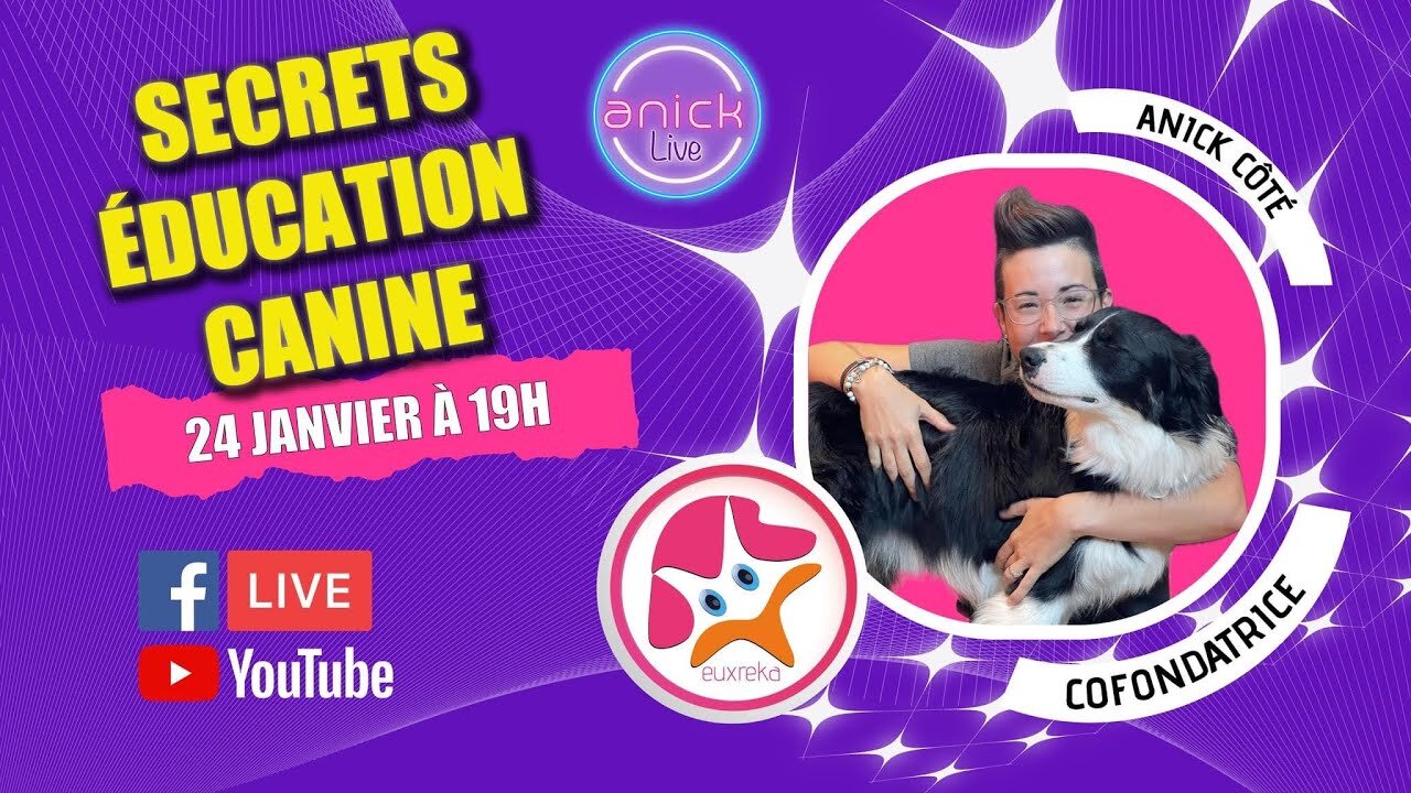 4 Conseils dune Professionnelle Canine