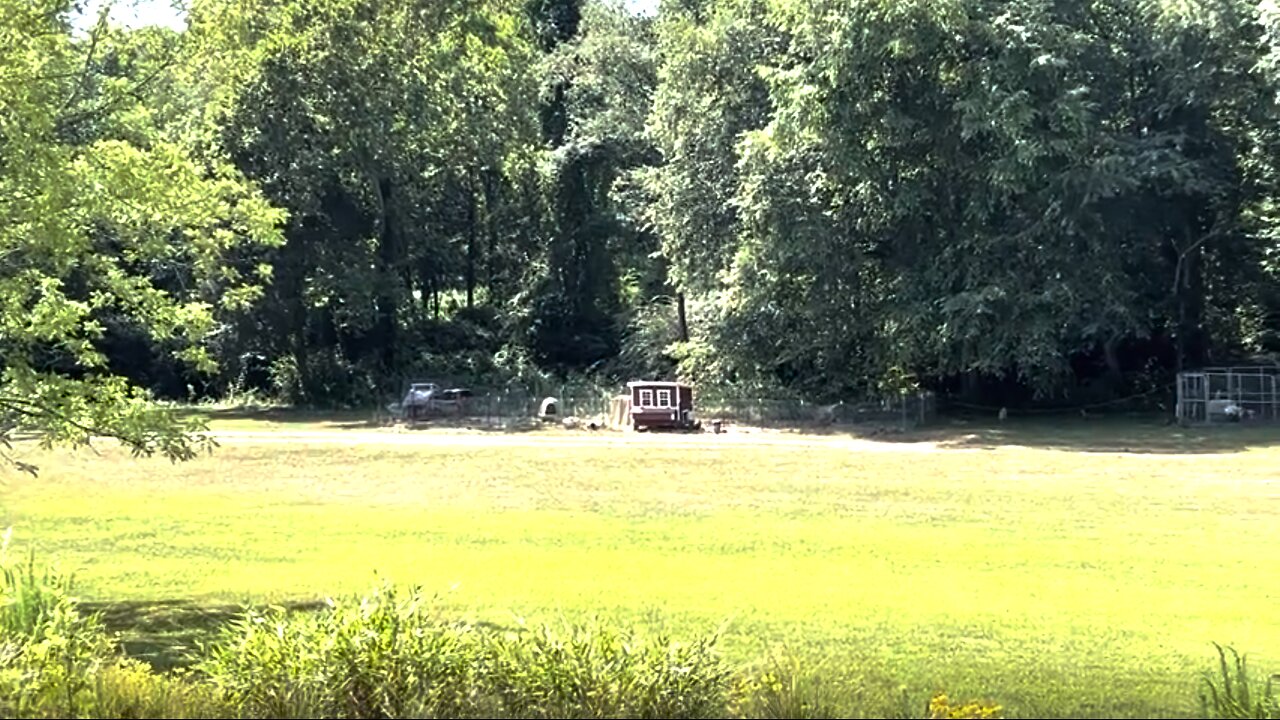 Come take a quick look at my awesome Purple Martins & the beginning of my Recovery Garden!