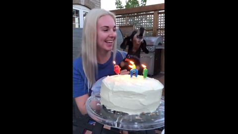 Little Dog Reaches For The Highest Notes While Singing ‘Happy Birthday’ To Owner